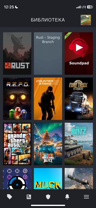 Продам аккаунт steam є: contraband police, Rust, GTA5, REPO, ets2, ccs