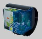 Aquarium 12L led