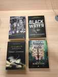 Kryminał Thriller x 4 Łabędź i złodzieje Narzędzia piekła Black Water