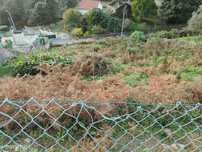 Venda Terreno de Construção situado em Outeiro, Viana do Castelo