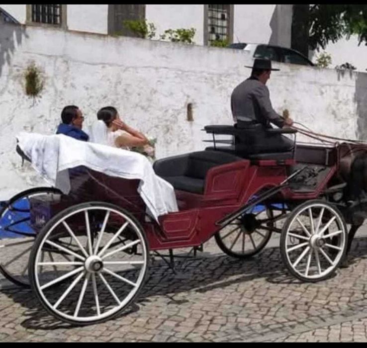 Charrete Carro Milord Versátil e Clássica