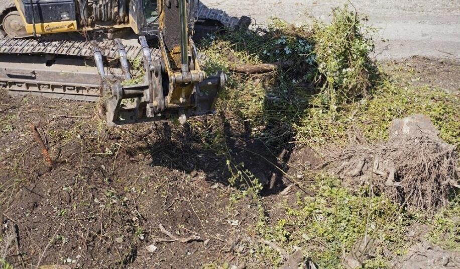 Karczowanie usowanie korzeni