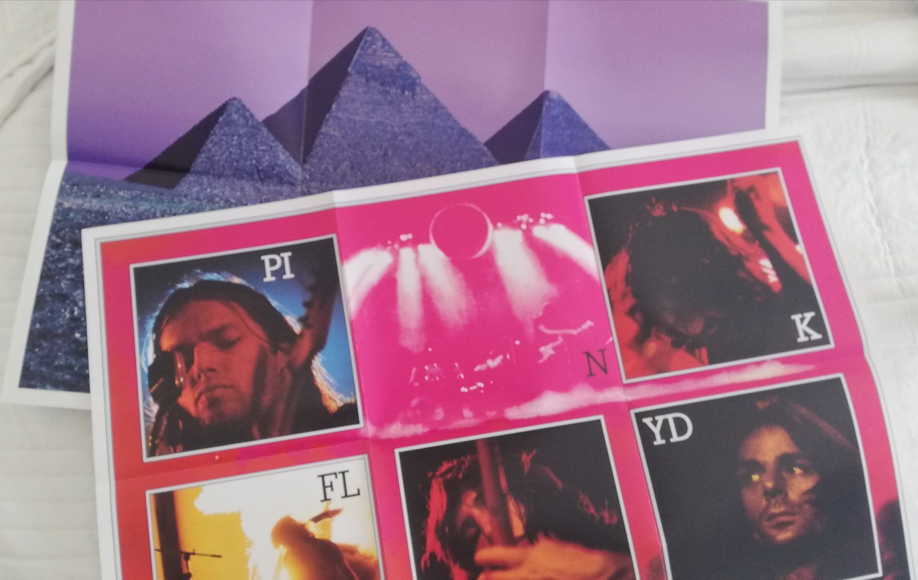 Pink Floyd : Dark side of the moon   LP