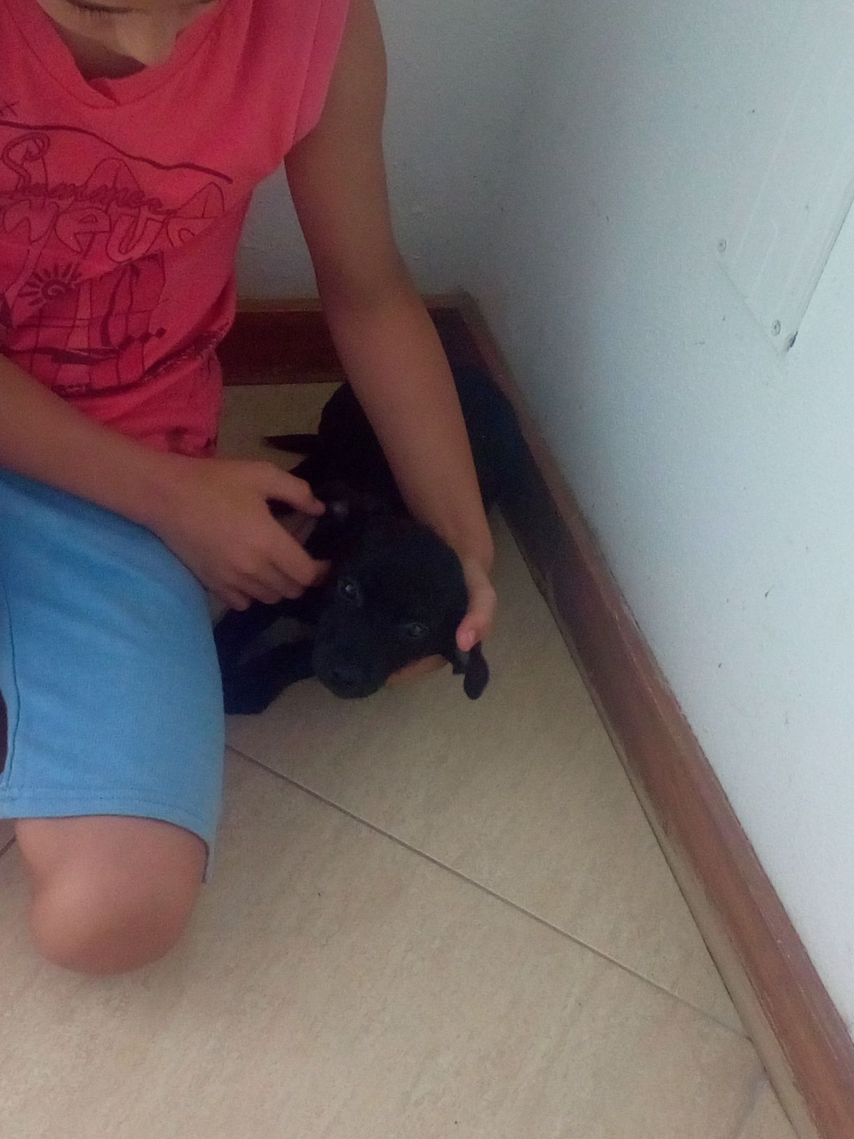 Cadelinha fofinha
