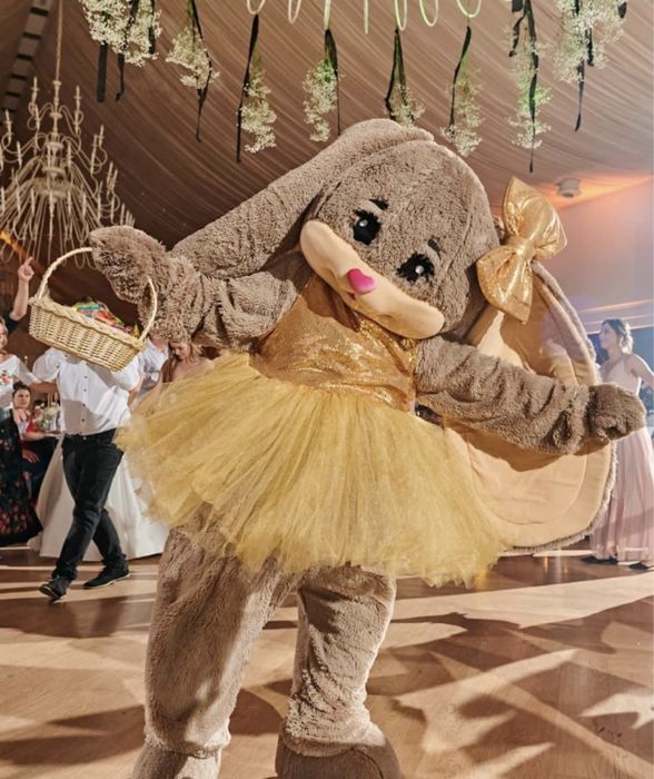 Animacje dla dzieci, festyny, pikniki, urodziny, animator Warszawa