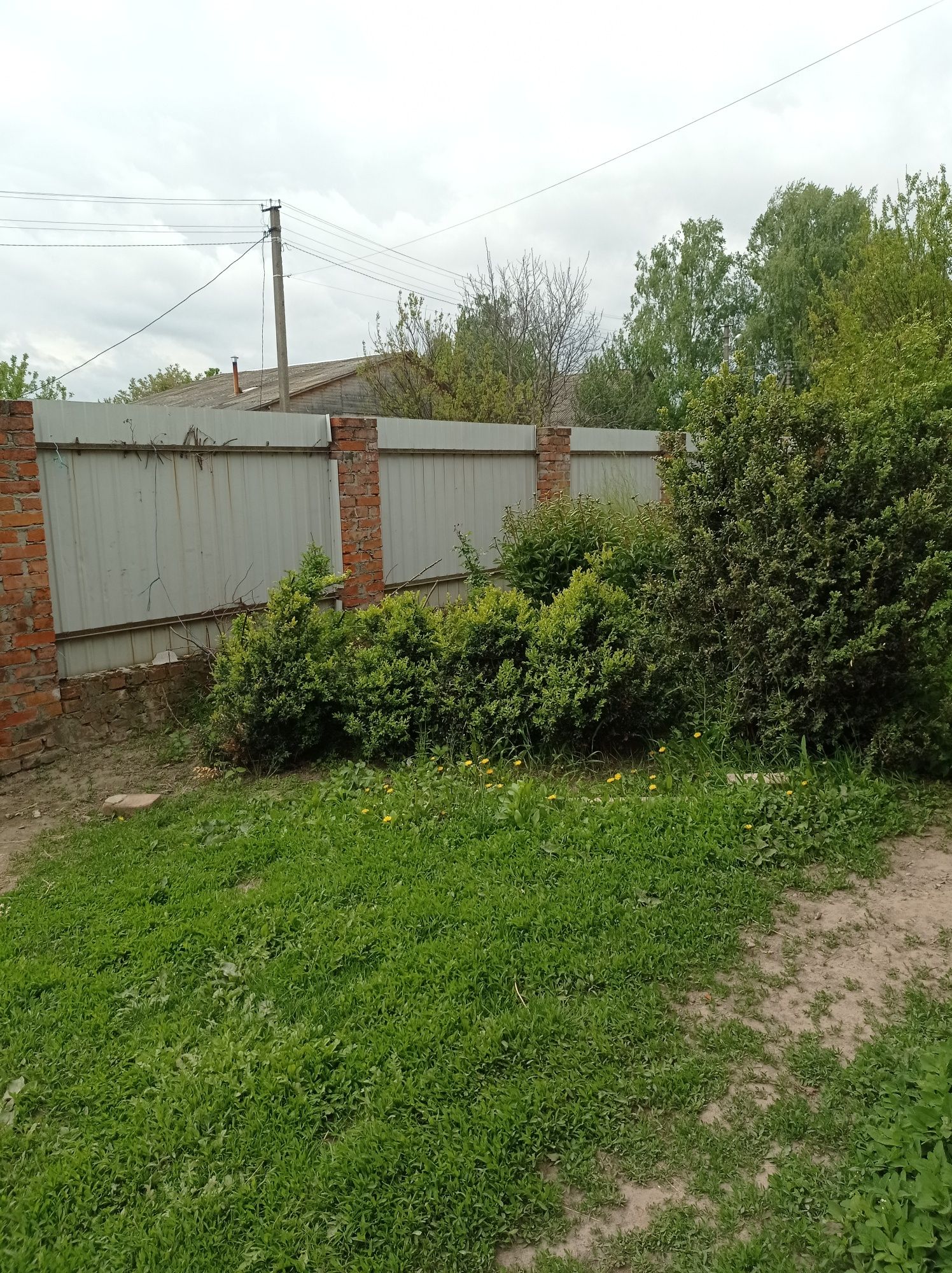 Садиба біля річки Десна. Село Слабин. Є-ВІДНОВЛЕННЯ.