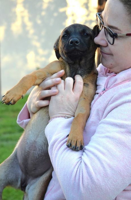 Śliczna, kochana, przytulasna ok 4 mies sunia czeka na dom