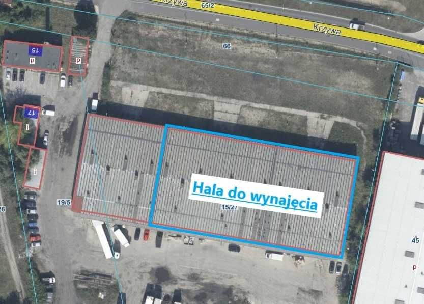 Hala do wynajęcia Piła