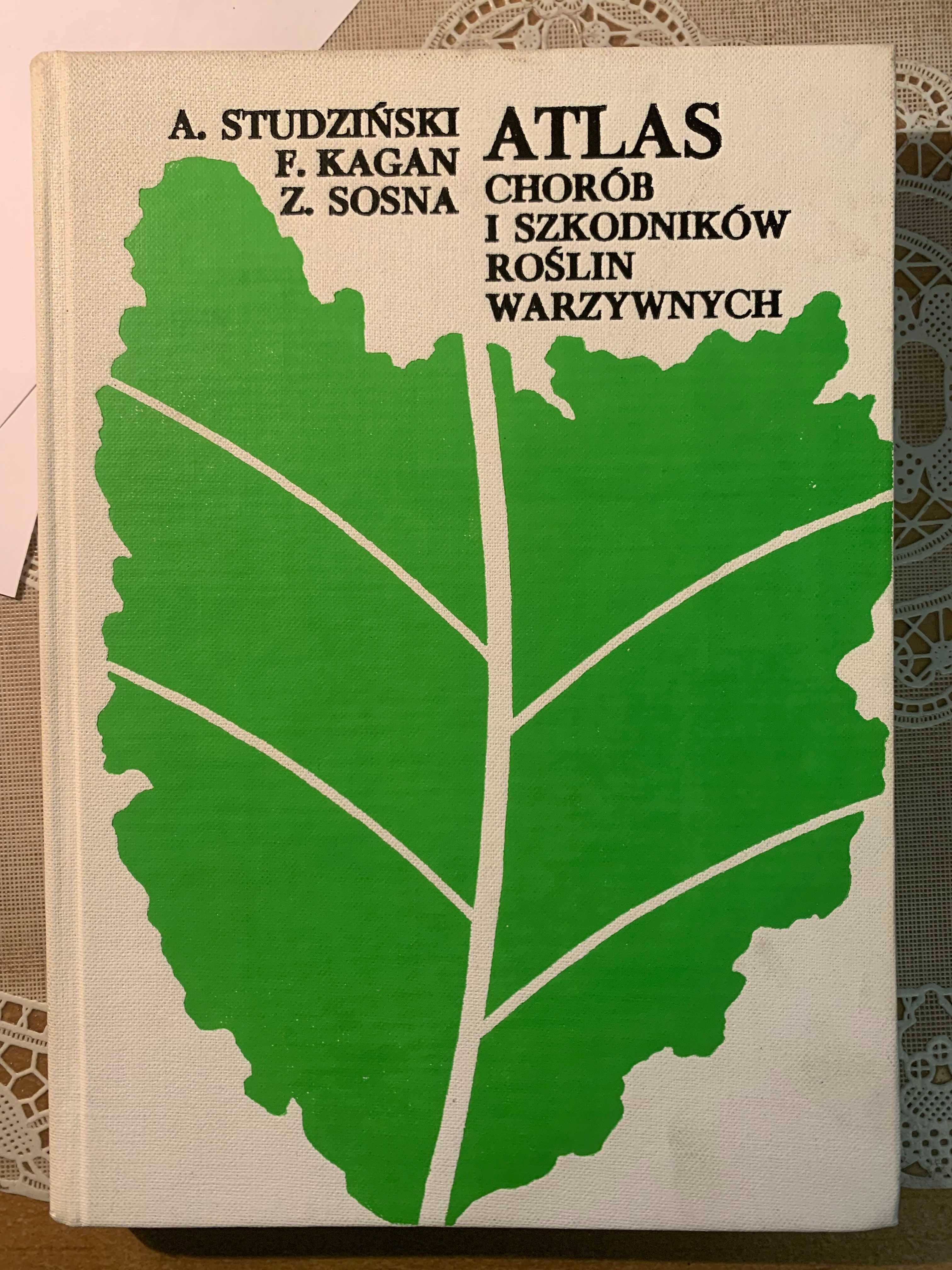 Atlas chorób i szkodników roślin warzywnych - Studziński, Kagan, Sosna