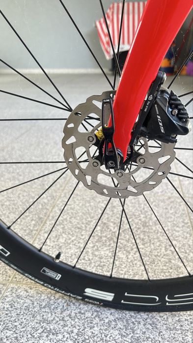 Pinarello grand disk