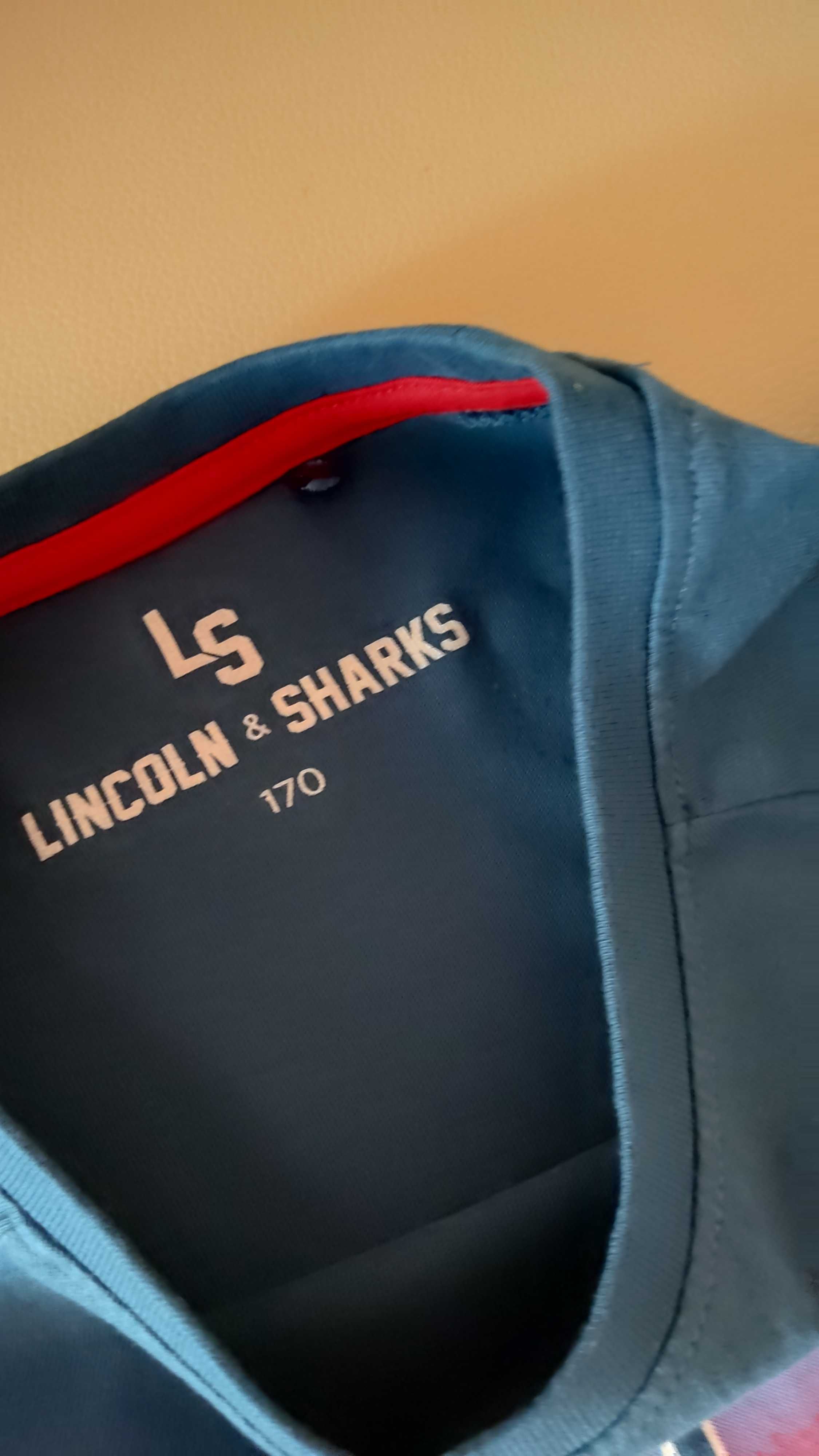 Bluza młodzieżowa męska długi rękaw rozmiar 170 Lincoln Sharks