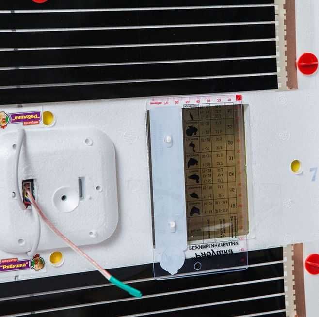 Інкубатор для яєць на 150шт. Рябушка. Аналоговий механічний.