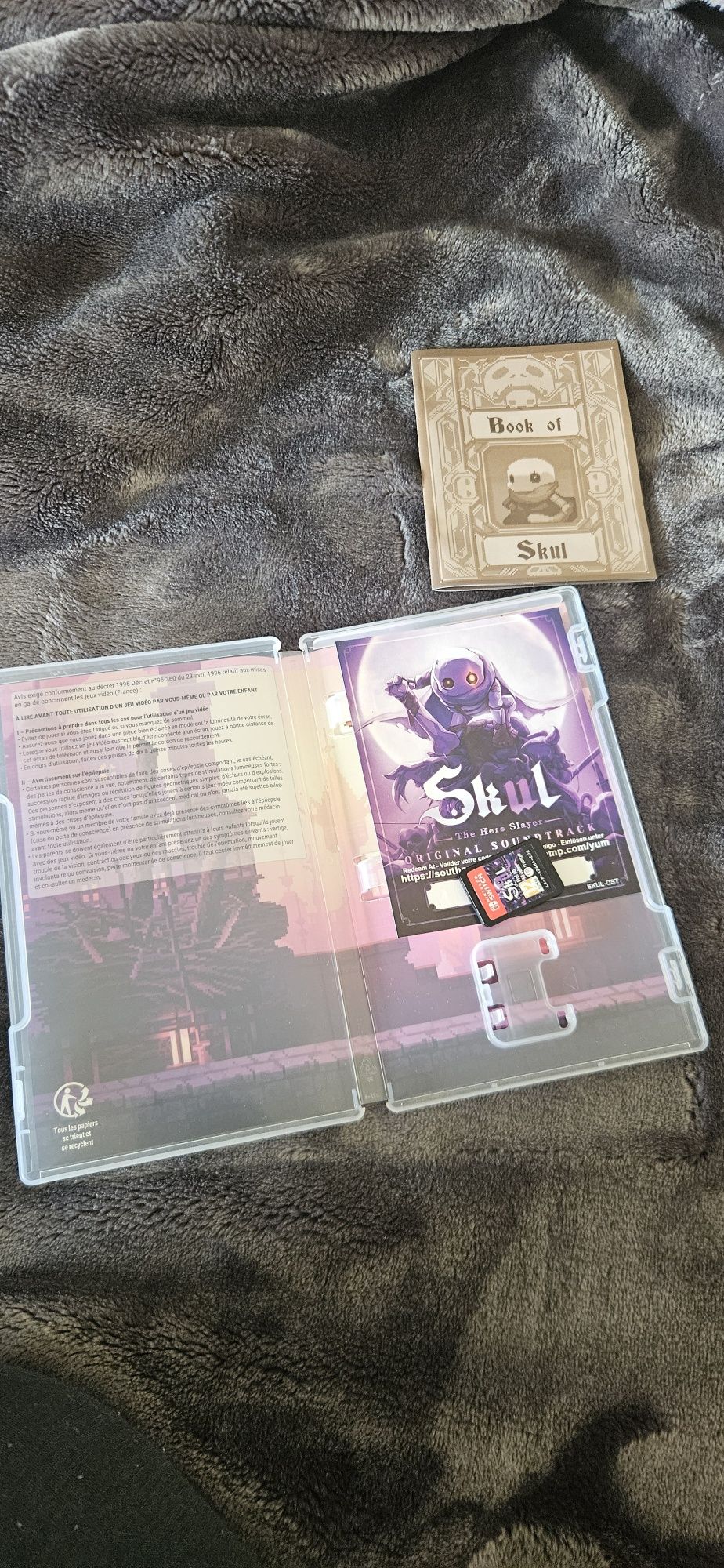 Skul: The Hero Slayer Switch