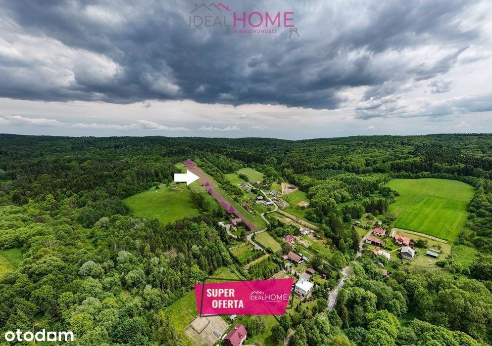 Działka na skraju lasu - Wola Krzywiecka