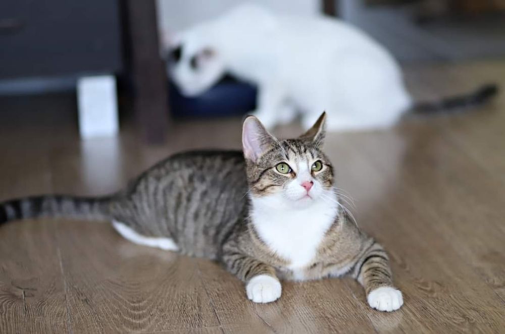 Chętnie wbijemy się do Ciebie na chatę, felv +