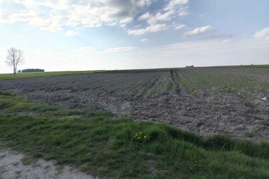 Działka BUDOWLANA 5924 m² - Latowicz - MIŃSK Maz. - WARUNKI ZABUDOWY