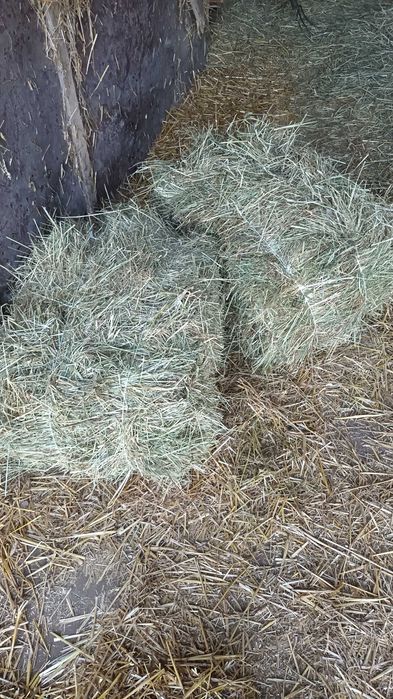 Sprzedam siano w kostkach