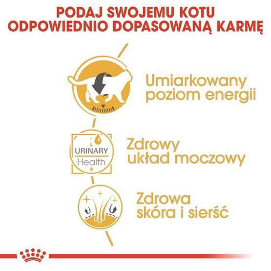 Karma w sosie dla kotów rasy brytyjski krótkowłosy - Royal Canin 85g