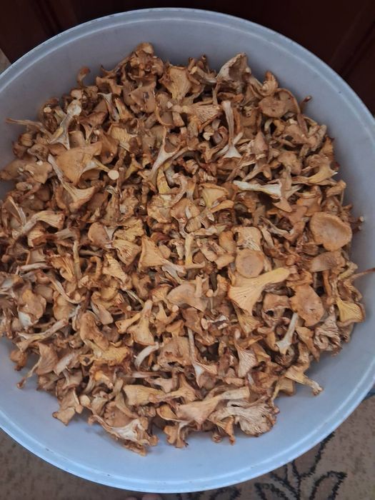 Гриби лисички сушені мариновані