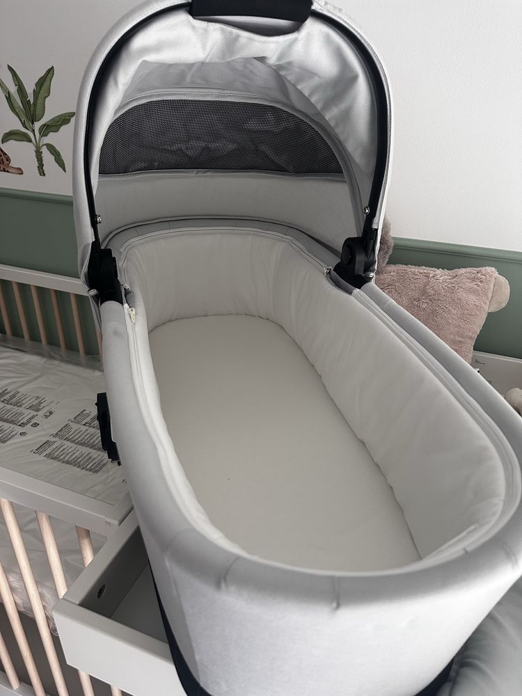 Alcofa Cybex nova