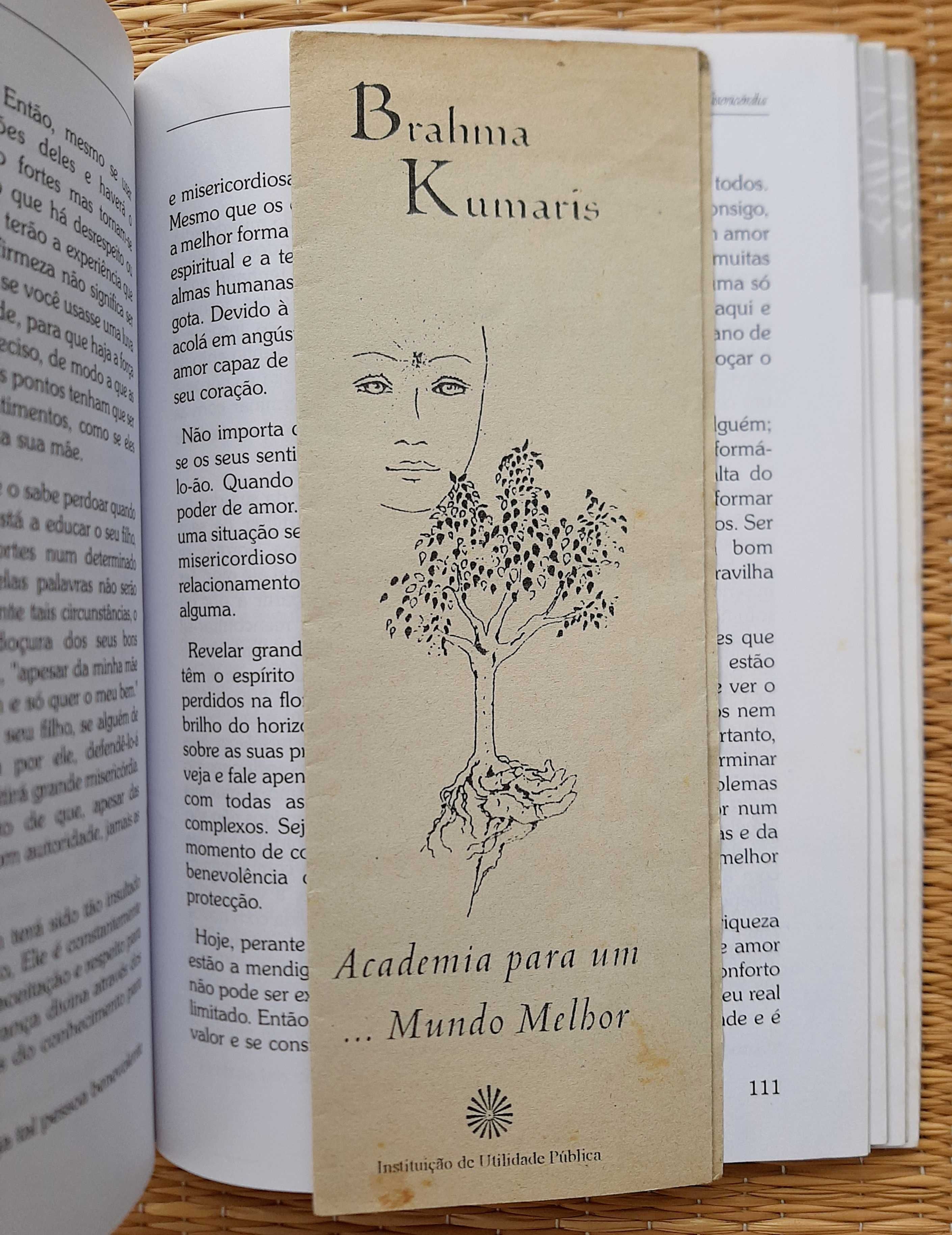 Livro "Virtudes para uma Nova Consciência" - António Sequeira