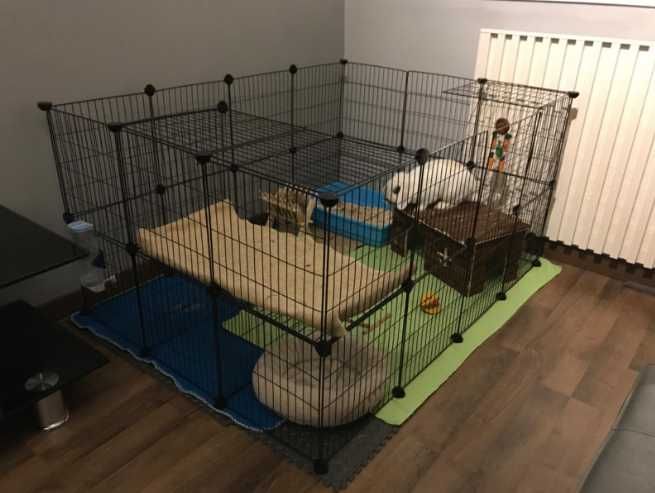 Wybieg klatka kojec zagroda dla krolika chomika świnki morskiej