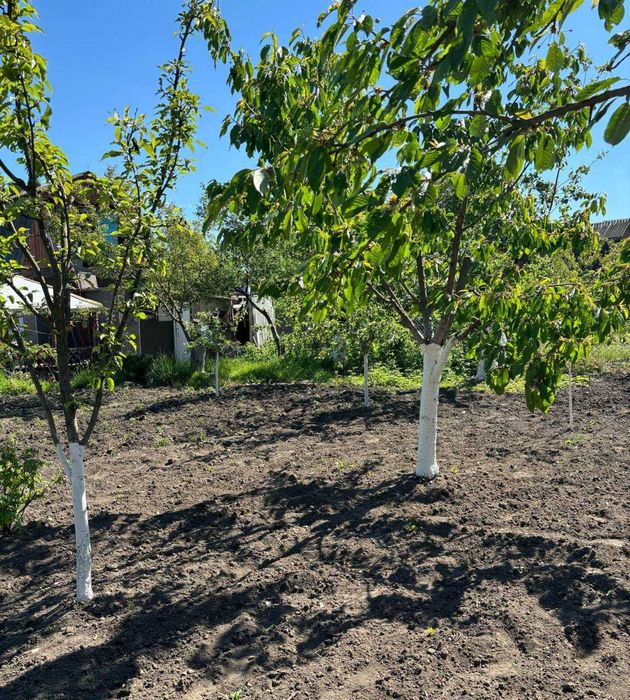 Біля будинку затишна бесідка, де  можна смажити шашлик .Лезнево.