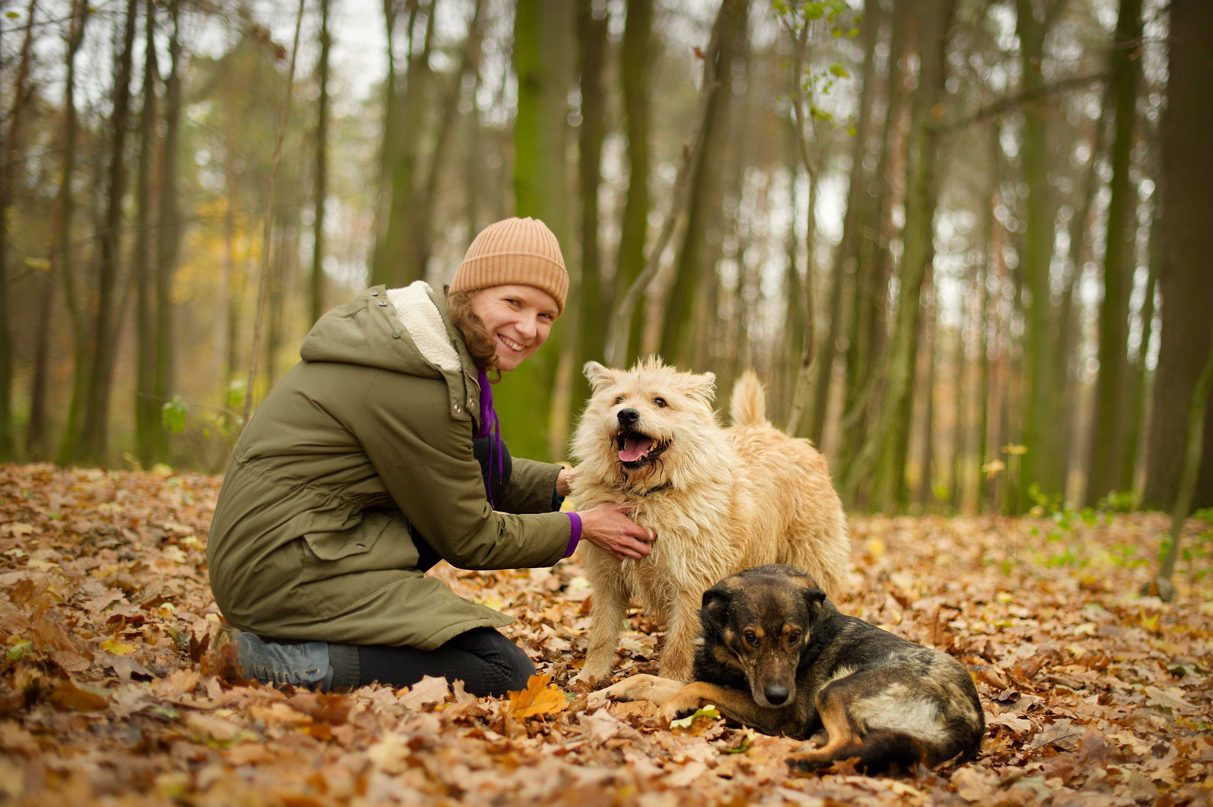 Kąsek- cudowny kudłacz do adopcji.