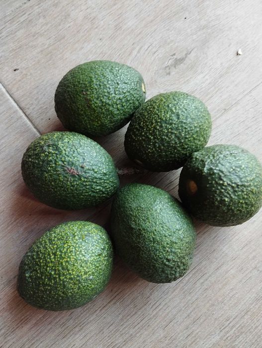 Abacates a 2 € kg