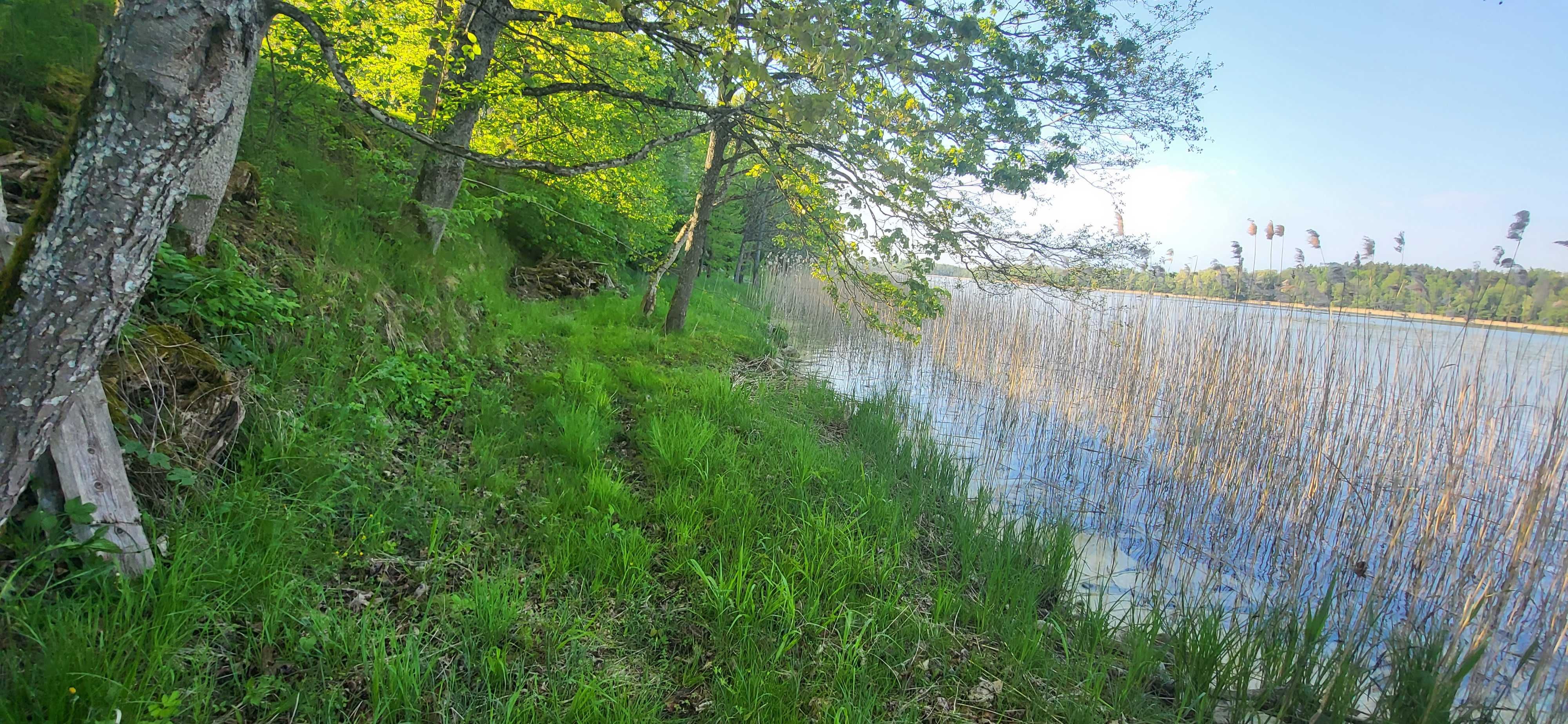 Działka z linią brzegową | Mazury - Gołdap