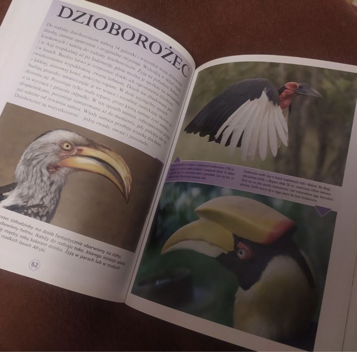 Świat zwierząt - Genevieve De Becker