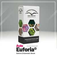 Nasiona marihuany automatyczne - Auto Euforia Dutch Passion 3szt