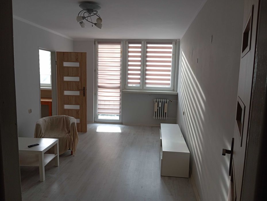 Dostępne mieszkanie do wynajęcia w Świeciu n.W.