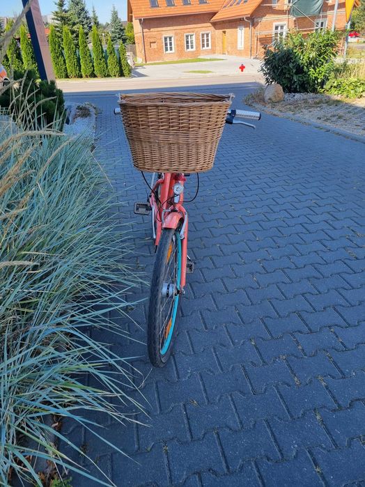 Rower Electra Townie 3i