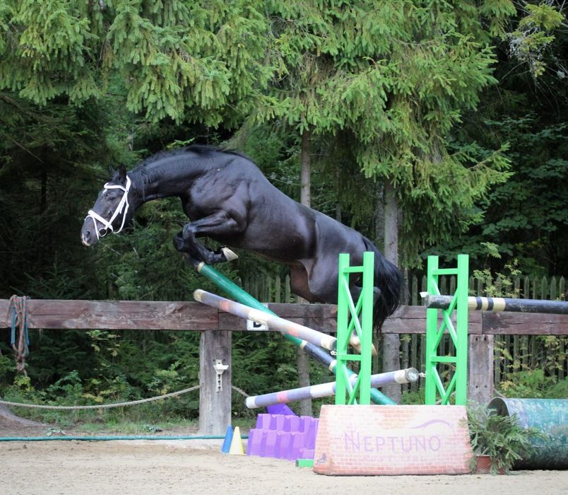 Kary przyszłościowy 3.5 latek