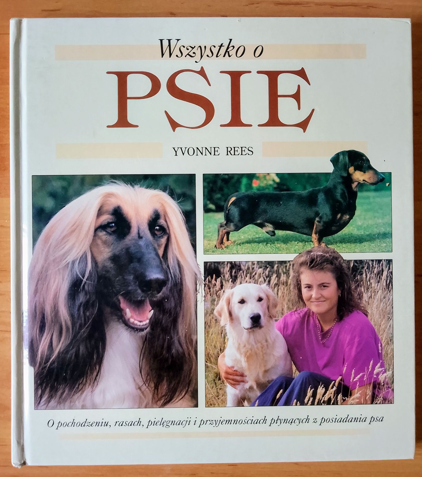 Wszystko o psie Yvonne Rees