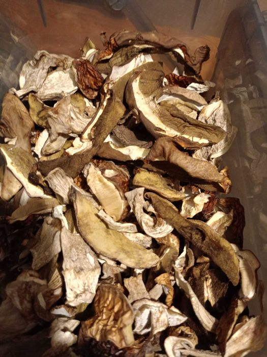 Grzyby suszone Borowiki Podgrzybki