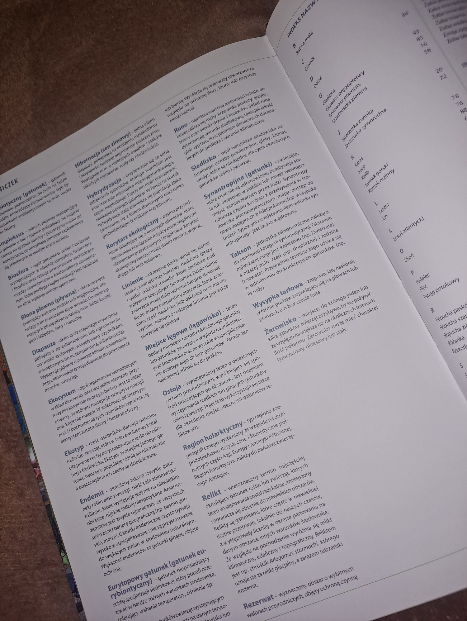 Polska Gady, Płazy i Ryby/ Encyklopedia Ilustrowana