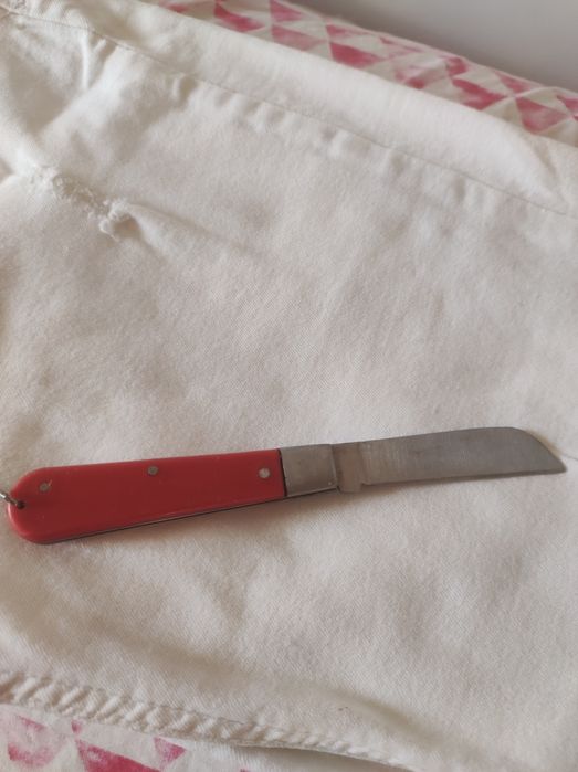 Navalha de enchertia