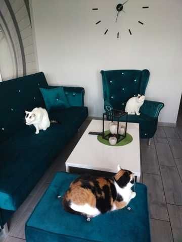 Sofa Glamour Kanapa rozkładany do spania zestaw Fotel i pufa