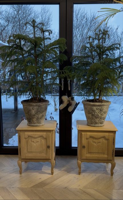 Ludwikowskie szafki nocne , stoliki nocne - st.surowy