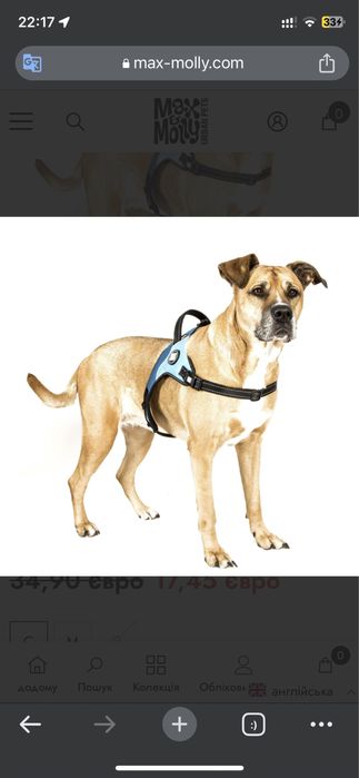 Шлеї для собак