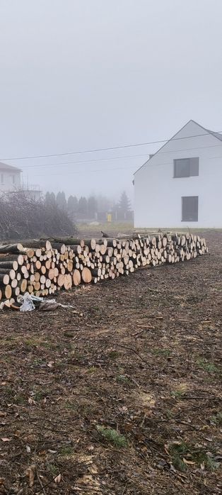 Drzewo opałowe sosna brzoza topola