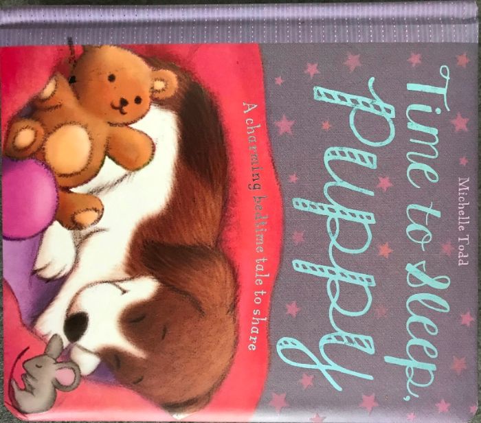 Książka angielski Book Time to Sleep, Puppy by Michelle Todd