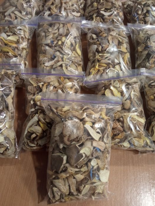 Вешенка сушеная глива