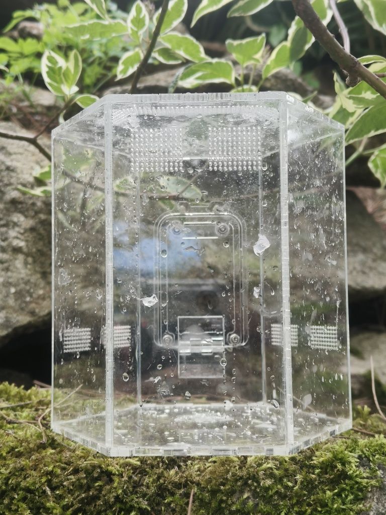 terarium akrylowe dla skakuna ptasznika