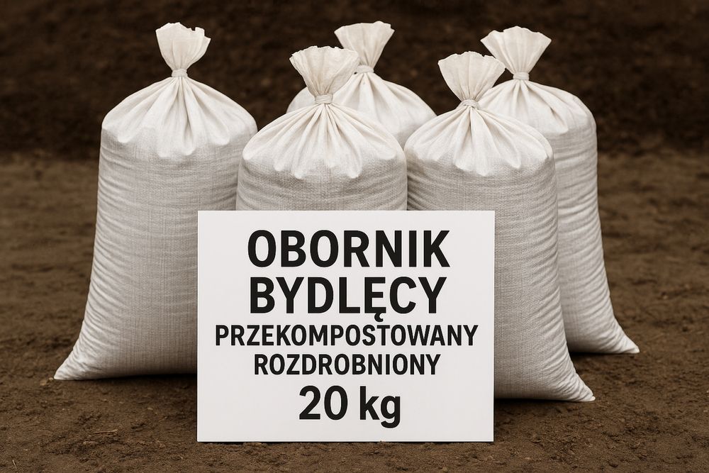 Obornik bydlęcy krowi nawóz rozdrobniony