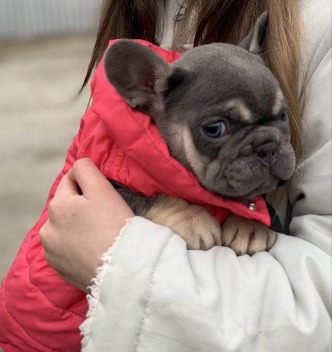 Новотипна дівчинка