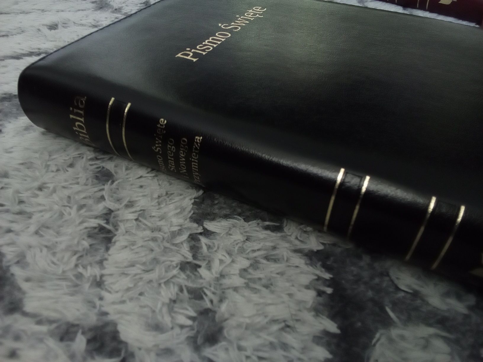 Pismo Święte Starego i Nowego Przymierza - duża czarna, PAGINATORY