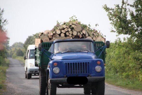 Продам дрова метровки, рубані.